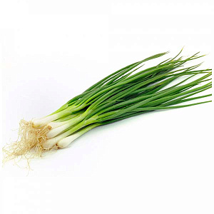 Лук зелёный свежий