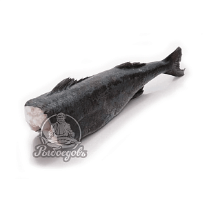 Черная треска (угольная треска) из Аргентины Вес 3+