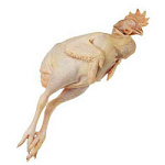 Петух  Браун с головой охлажденный  (вес 1.2-1.7 кг)