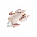 Цыплята охлажденные