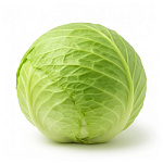 Капуста молодая 1-1.5кг