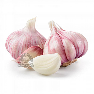 Чеснок свежий (Поступление каждое утро) 100гр