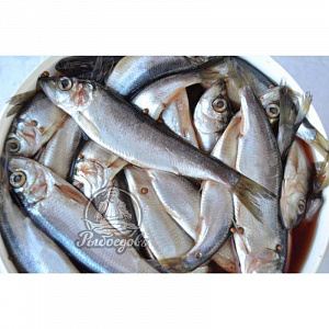 Килька Балтийская п/п (1/15)