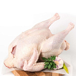 Индейка домашняя охлажденная 5-6кг Super (Тамбов)