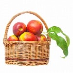 Нектарины свежие Азербайджан (поступление каждое утро)