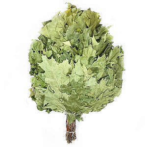 Веник для бани из канадского дуба