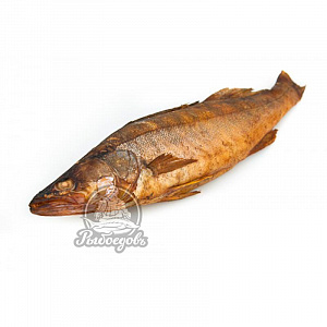 Судак горячего копчения