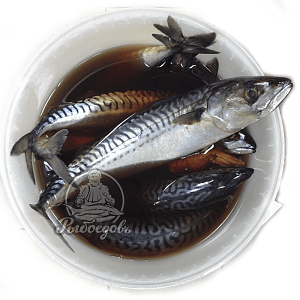 Скумбрия пряного посола в ведре 5кг