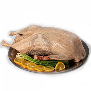 Утка домашняя диетическая охлаждённая. Тамбов 1,5-2,5кг