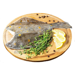 Камбала пятнистая 300-500гр