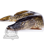 Щука с/м вес 2кг+