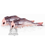 Пикша без головы 1-2кг