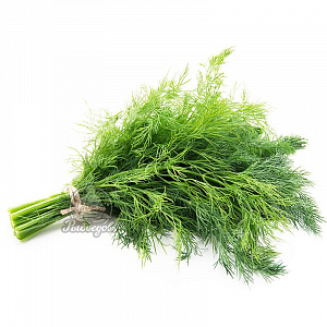 Укроп свежий пучок 120-150гр