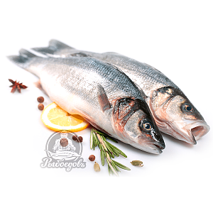 Сибас охлажденный не разделанный. 200-400