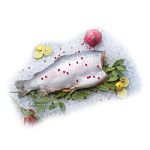 Форель  замороженная без головы 2-4кг (Турция)