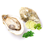 Устрицы Жилардо 3 размер 80-90гр