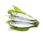 Салака штучная заморозка 16-18см 15кг